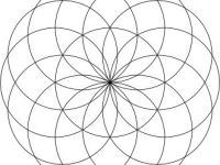 My First Blog Post: Becoming&nbsp;Grounded